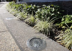 Recent commercial landscape design projects on the Sunshine Coast